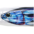 X Large 3D Fish Print Lures Size 55 - 412mm 16.00” to 423mm 16.50"