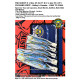 PAK 60HCPI Pilchard (Sardine) - 3 x Size 25 - 8.5"  2 x Size 35 - 13" - Hailey's Comets - 15kg to 24kg